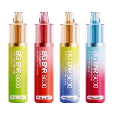 Feoba Big Bar 6000 Disposable Vape Kit